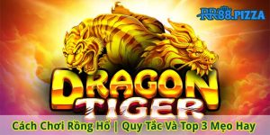 cach choi rong ho avt