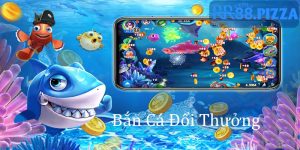 hinh dai dien ban ca doi thuong