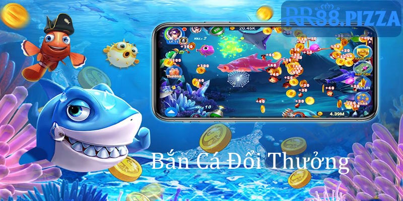 hinh dai dien ban ca doi thuong